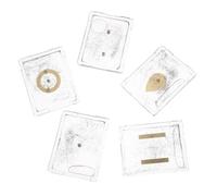 LOPUNER 5 boîtes de Limaille de Fer pour Champ magnétique - Dispositif de démonstration des Champs électrostatiques - Matériel de Physique Scolaire avec Limaille de Fer pour l'étude du