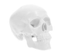LOPUNER Modèle Anatomique Mâchoire Mobile, Représentation Précise de Tête de Crâne Blanc en Plastique pour Décoration de Bureau ou Halloween, pour Étudiants