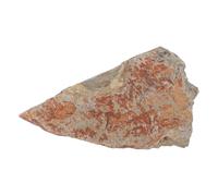 LOPUNER Spécimen de Fougère Fossile en Pierre pour Décoration Intérieure et Collection, Préservant Structure Ancienne, pour Maison ou Musée D'histoire