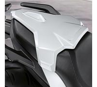 Lorababer Moto pour F 900R Passager arrière Passager Solo Carénage Siège Capot Couverture Dur ABS Moto Queue Arrière Section Compatible avec B.M.W F900R F 900 R F-900-R 2020 2021 (Argent)