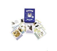 L'oracle Des Maîtres Chats - Avec 50 Cartes Conseils Et 1 Livret Pour Les Interpréter