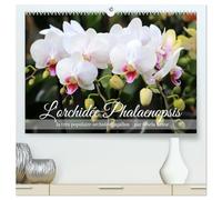 L'orchidée Phalaenopsis (Calendrier mural haut de gamme 2027 DIN A2 vertical), CALVENDO calendrier mensuel: Le Phalaenopsis est la star incontestée des orchidées