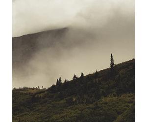 Lord buffalo - Tohu wa bohu
