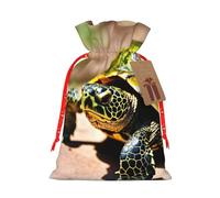 Lord Howe Island Sac à cordon avec cordon de serrage Motif tortue de mer