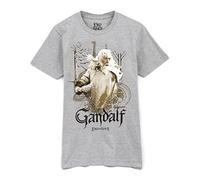 Lord of The Rings Le T-Shirt pour Hommes Gandalf Wizard Film Gris - Moyen