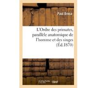 L'Ordre des primates, parallèle anatomique de l'homme et des singes