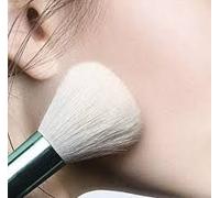 L'oréal Paris Accord Parfait Pinceau Mineral Kabuki Nude