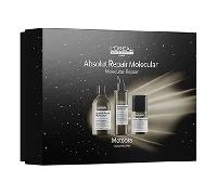 L'Oréal Professionnel Serie Expert Absolut Repair Molecular Coffret Trio