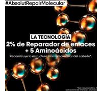 Shampooing Absolut Repair Molecular L'Oréal Professionnel 300 ml