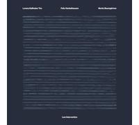 Lorenz Kellhuber Trio - Low Intervention