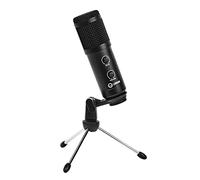 Lorgar Soner 313 Microphone Cardioïde USB à Condensateur Audio Professionnel, Compatible avec PC iMac Windows Youtube, Suppression Bruit et Réverbération Musical, Podcasting, Streaming, Gaming - Noir