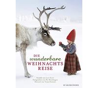 Lori Evert Per Breiehagen Tanya Stewner Die wunderbare Weihnachtsreise (Relié)