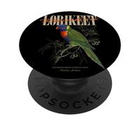 Loriquet Arc-en-Ciel Vintage pour Observer Les Oiseaux PopSockets PopGrip Adhésif