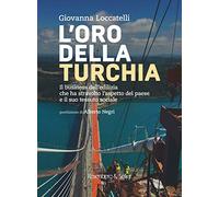 L'oro della Turchia. Il business dell'edilizia che ha stravolto l'aspetto del Paese e il suo tessuto sociale