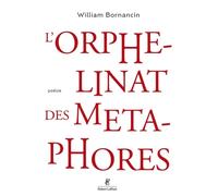 L'orphelinat des métaphores