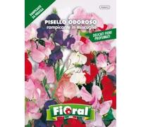 L'Ortolano Semences de fleur de qualité en sachet pour utilisation amateur