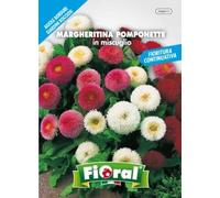 L'Ortolano Semences de fleur de qualité en sachet pour utilisation amateur