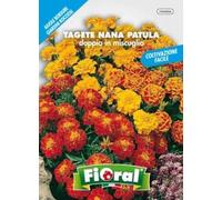 L'Ortolano Semences de fleur de qualité en sachet pour utilisation amateur