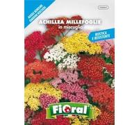 L'Ortolano Semences de fleur de qualité en sachet pour utilisation amateur