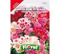 L'Ortolano Semences de fleur de qualité en sachet pour utilisation amateur