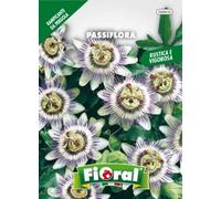 L'Ortolano Semences de fleur de qualité en sachet pour utilisation amateur