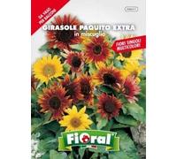 L'Ortolano Semences de fleur de qualité en sachet pour utilisation amateur