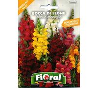 L'Ortolano Semences de fleur de qualité en sachet pour utilisation amateur