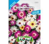 L'Ortolano Semences de fleur de qualité en sachet pour utilisation amateur