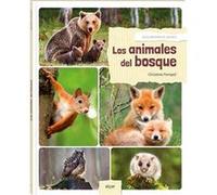 Los Animales Del Bosque - [Livre en VO] Pompeï, Christine (Auteur)
