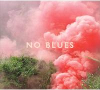 Los Campesinos - No Blues