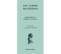 Los campos magnéticos
