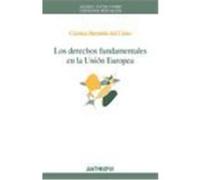 Los Derechos Fundamentales En La Union Europea Cristina Hermida del Llano, Mario G. Losano (Auteur)