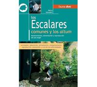Los escalares comunes y los altum: Mantenimiento, alimentación y reproducción del pez ángel