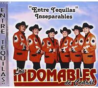 Los Indomables de Cedral - Entre Tequilas