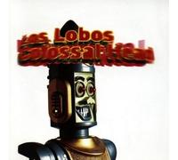 Los Lobos - Colossal Head