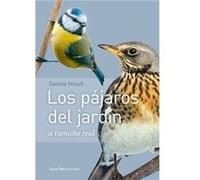 Los Pájaros Del Jardín - [Livre en VO] Straub, Daniela (Auteur)