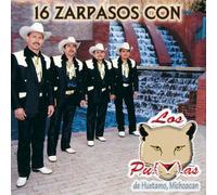 Los Pumas De Huetamo Michoacan - Pumas De Michoacan (16 Zarpazos) 401