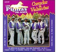 Los Pumas Del Norte - Corridos De Valientes