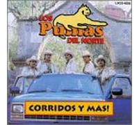 Los Pumas Del Norte - Corridos Y Mas