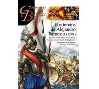 Los Tercios De Alejandro Farnesio (1588) Peña Blanco, Joaquín (Auteur)