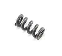 Losi HD Servo Saver Spring Super Rock Rey LOS251086 Parts