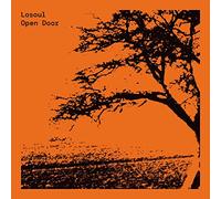 Losoul - Open Door (Remastered & Expanded 2x12) [Import]