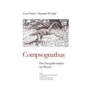 Lost In Charleston's Waves