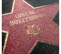 Lost in Hollywood