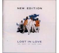 Lost in Love-The Best of Slow Jams [Import]