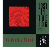 Lost in the Fog - Devils Thumb