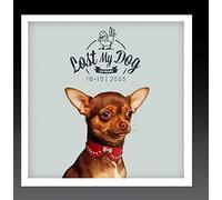 Various Artists - Lost My Dog 10 x 10-2005