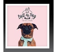 Various Artists - Lost My Dog 10 x 10-2006