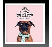 Lost My Dog 10x10 2006 Import Usa