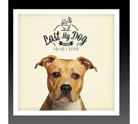 Various Artists - Lost My Dog 10x10-2009